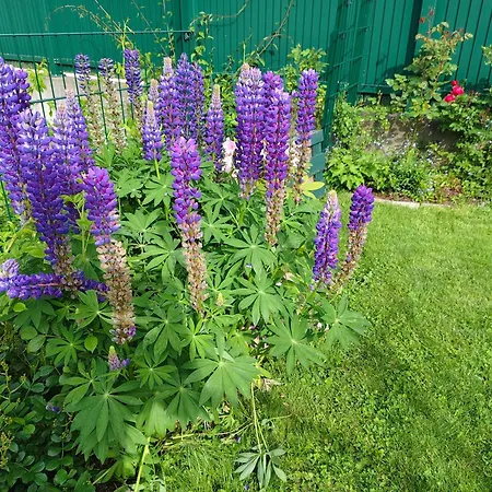 アパート Auszeit Am Ossiachersee *