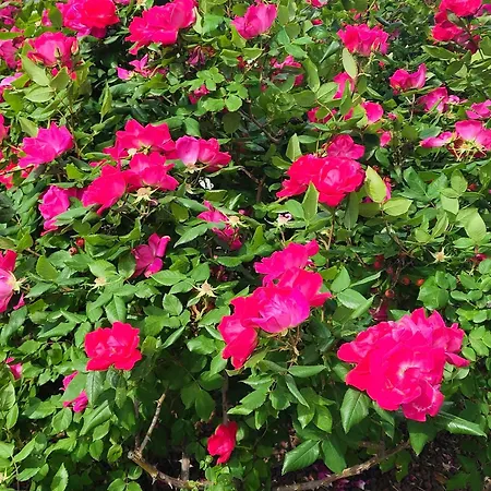 Διαμέρισμα Auszeit Am Ossiachersee *