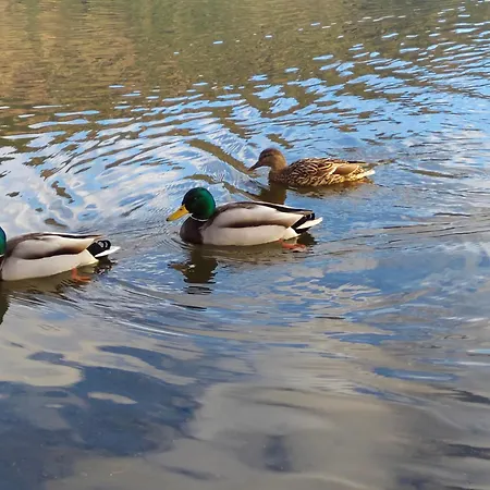 Auszeit Am Ossiachersee