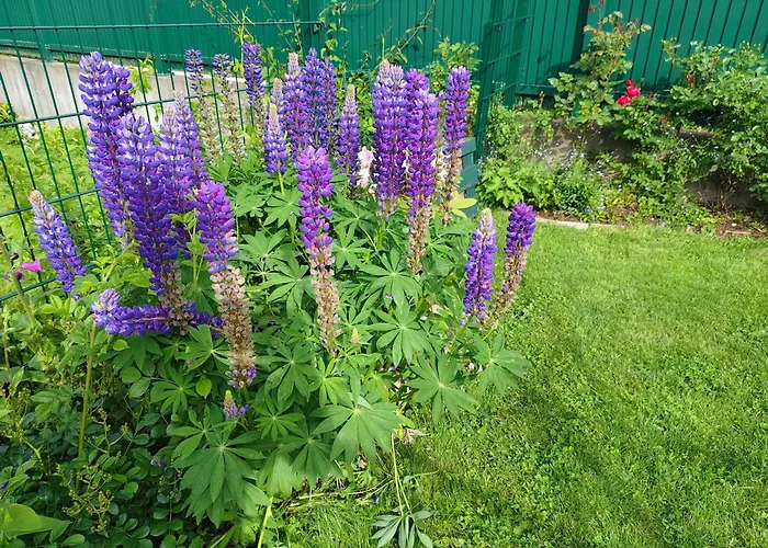 アパート Auszeit Am Ossiachersee *