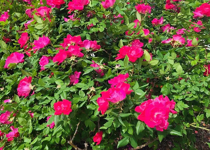 アパート Auszeit Am Ossiachersee *