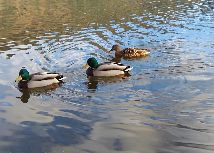 Auszeit Am Ossiachersee