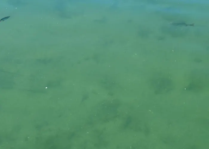 Auszeit Am Ossiachersee ボーデンスドルフ